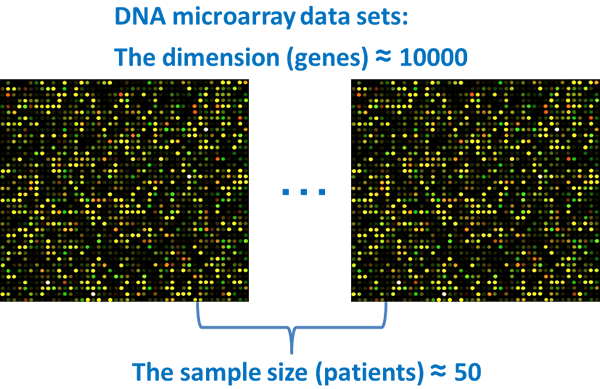 DNA microarray data sets