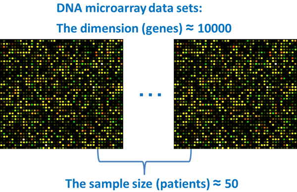 DNA microarray data sets DNA microarray data sets