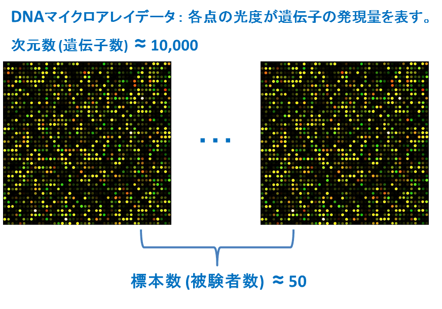 DNAマイクロアレイデータ DNAマイクロアレイデータ