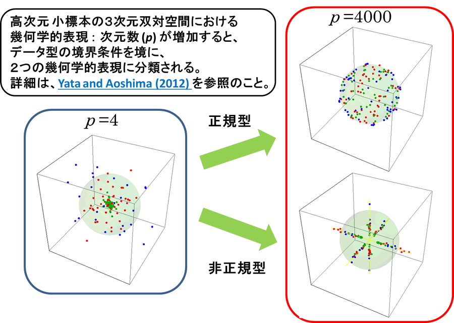 高次元小標本の３次元双対空間における幾何学的表現