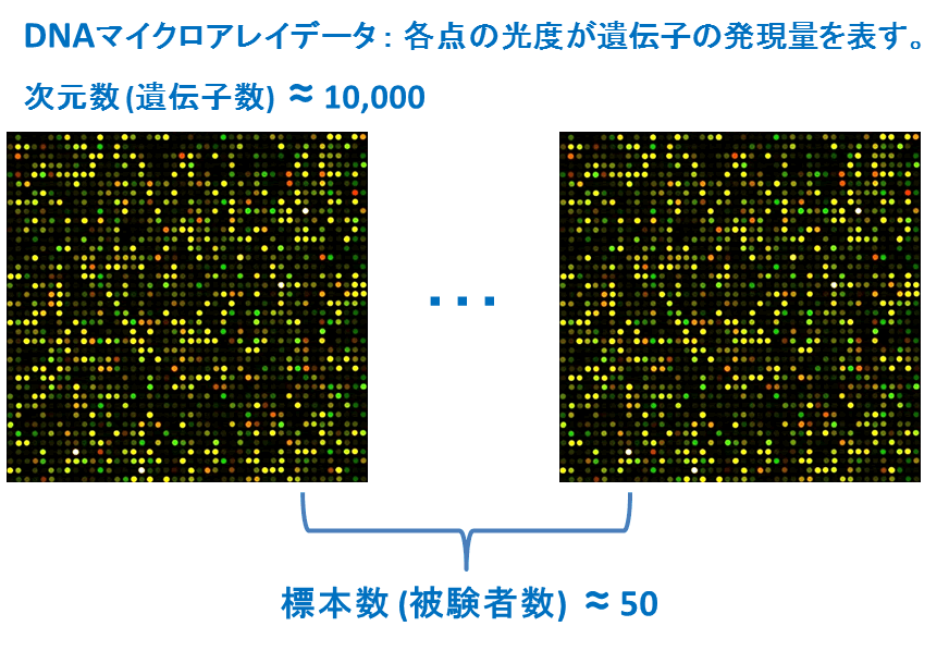 DNAマイクロアレイデータ